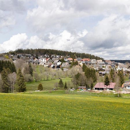 Ferienwohnung Sohnrey Titisee-Neustadt Exteriér fotografie